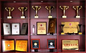 集團(tuán)公司四項(xiàng)工程榮獲“中州杯”獎(jiǎng)！